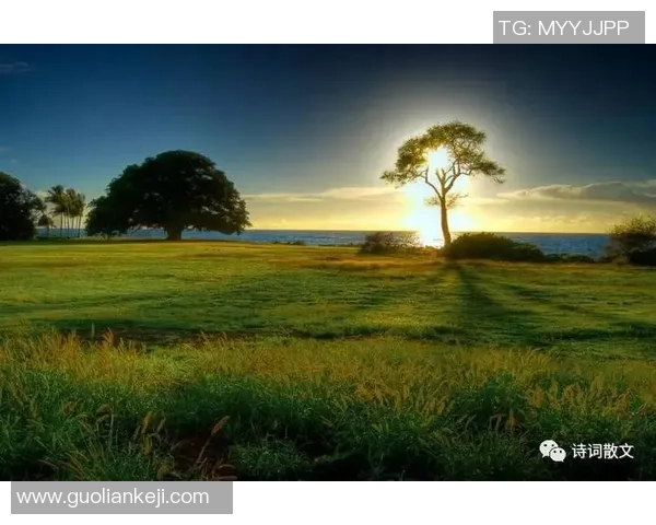 致姚明音乐的旋律与梦想交融之旅